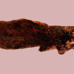 Найден древнейший костяной наконечник, сделанный задолго до человека разумного