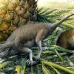 Образ жизни древних млекопитающих оказался таким же, как у рептилий