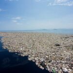 Ученые оценивают количество микропластика на океанском дне в 14 миллионов тонн