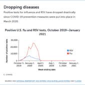 «Коронавирусные ограничения» почти свели на нет сезонные вспышки гриппа и ОРВИ, но это приведет к ухудшению в будущем