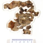 В Израиле нашли фрагменты свитка с библейскими текстами