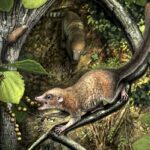 Ученые нашли останки древнейших приматов