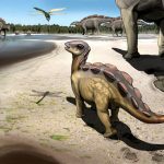 Ученые обнаружили следы миниатюрного стегозавра