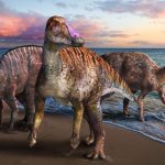 В Японии нашли новый вид утконосого динозавра
