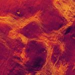 Архивные данные подтвердили наличие на Венере необычной тектоники плит