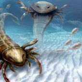 Ракоскорпионы на палеозойском мелководье: взгляд художника