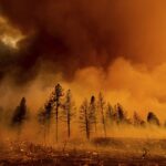 Лесные пожары незаметно убивают десятки тысяч человек в год