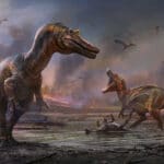 Обнаружены два новых крупных хищных вида динозавров