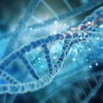 Искусственный интеллект предсказал, где новые лекарства смогут подобраться к РНК и ДНК