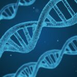 Квантовые процессы приводят к появлению мутаций в структуре ДНК