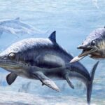 Ихтиозавр Фиона умерла во время беременности