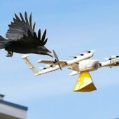 Ворона атакует БПЛА с посылкой