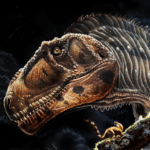 Аргентинский «дракон» раскрыл секреты крошечных передних лап тираннозавра