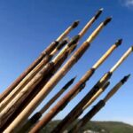 Антропологи нашли древнейшие свидетельства пользования луком и стрелами в Европе