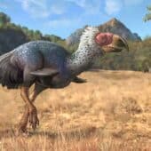 Палеонтологи впервые изучили следы «ужасных птиц»