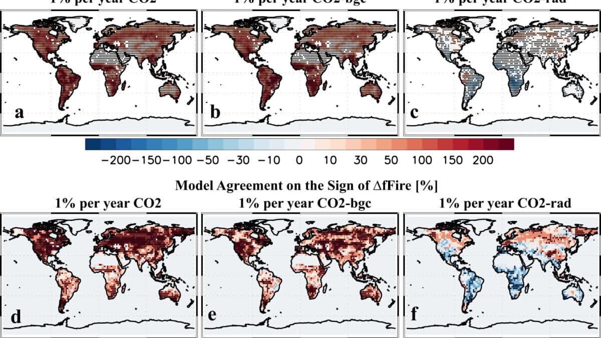 Рост растительности из за выбросов CO2 усилил лесные пожары