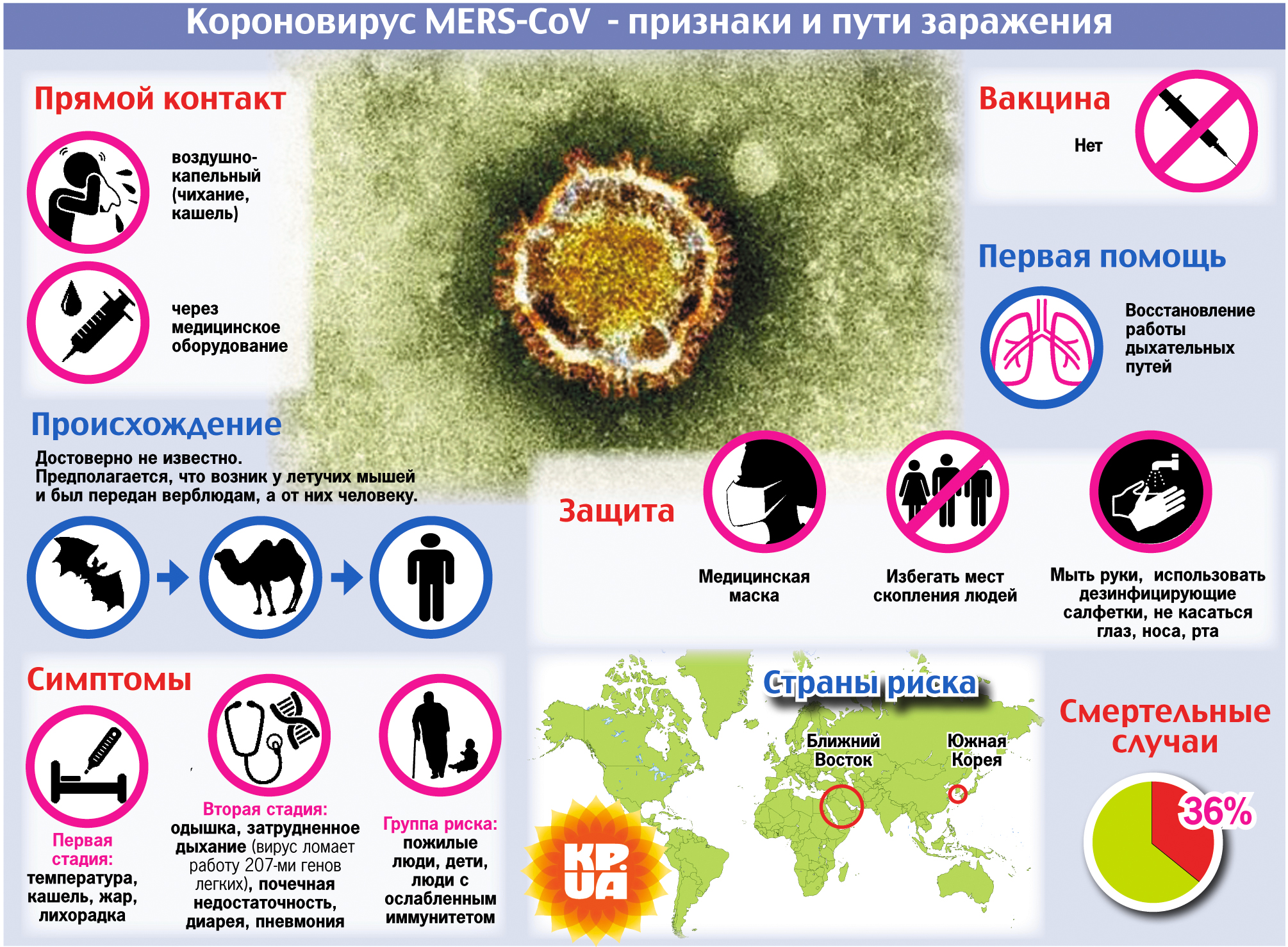 Вирус живущий в организме человека. Профилактика вирусов.
