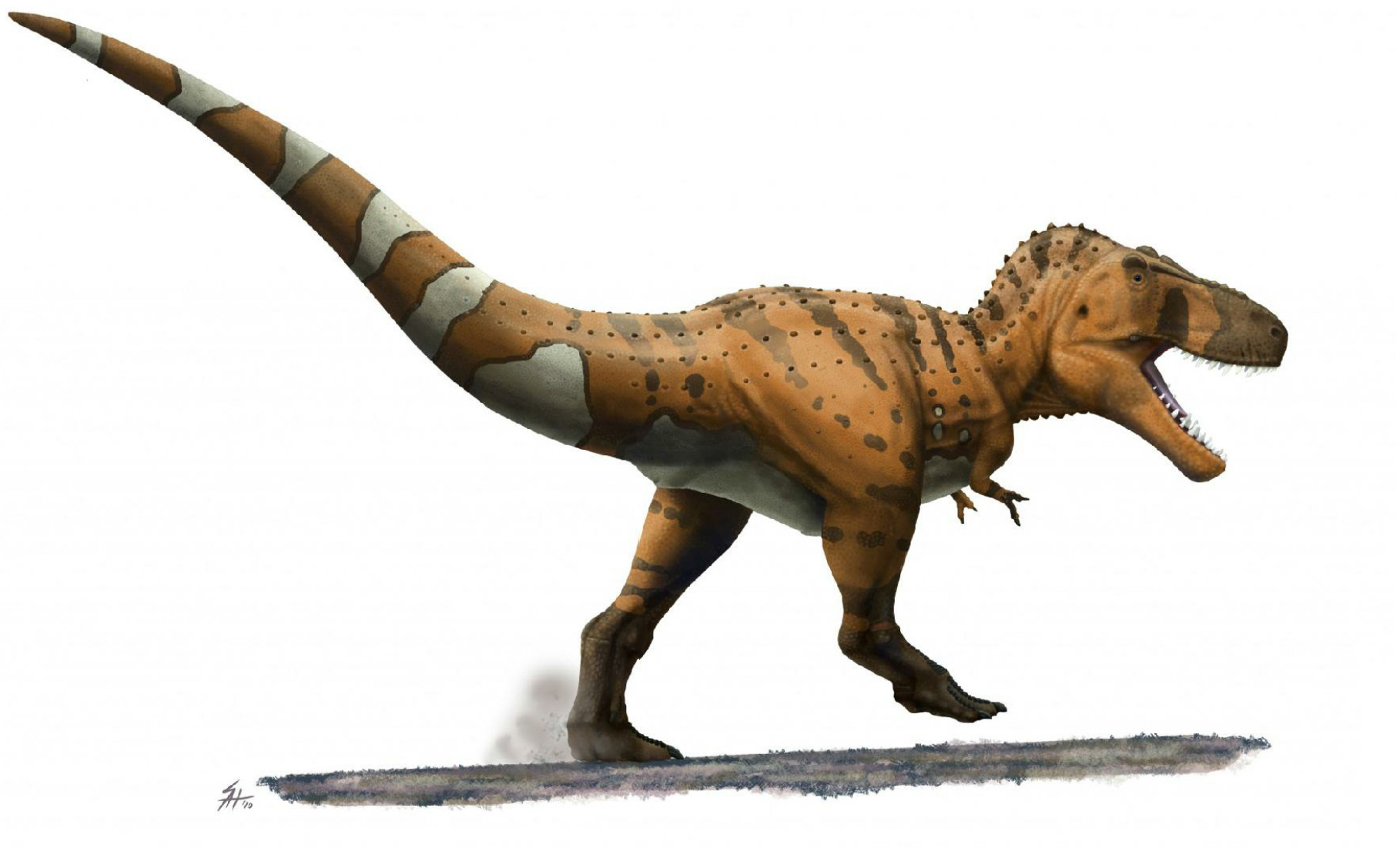 Самый большой травоядный динозавр в мире