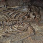 Рядом с «пришельцем из Аркаима» найден скелет древнего воина