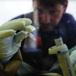 Вакцину против Эболы впервые испытали на людях