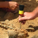 Обнаружен древнейший в Европе фрагмент человеческих останков