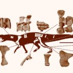 Ученые открыли древнюю рептилию, жившую до динозавров