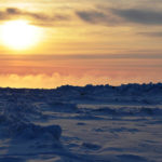 В Арктике зафиксирована самая высокая температура за последние 115 лет