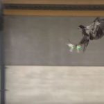 Натренированный полицейский орел против дрона