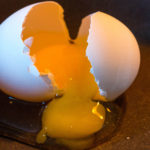Генетически модифицированная курица снесет лекарственные яйца