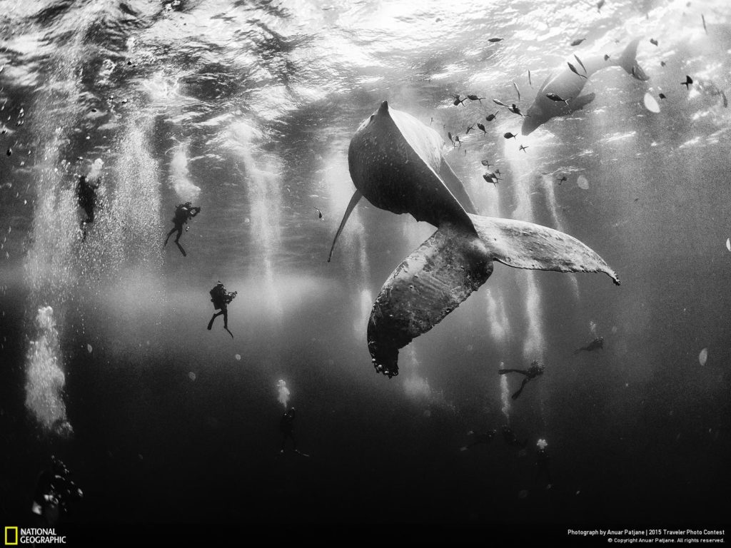 National Geographic подвел итоги фотоконкурса Traveler Photo Contest-2015 – иллюстрация к материалу на Naked Science