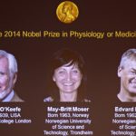 Троим ученым присуждена Нобелевская премия по физиологии и медицине