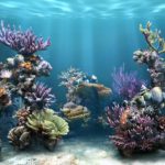 Ученые составили уникальный каталог дна Мирового океана