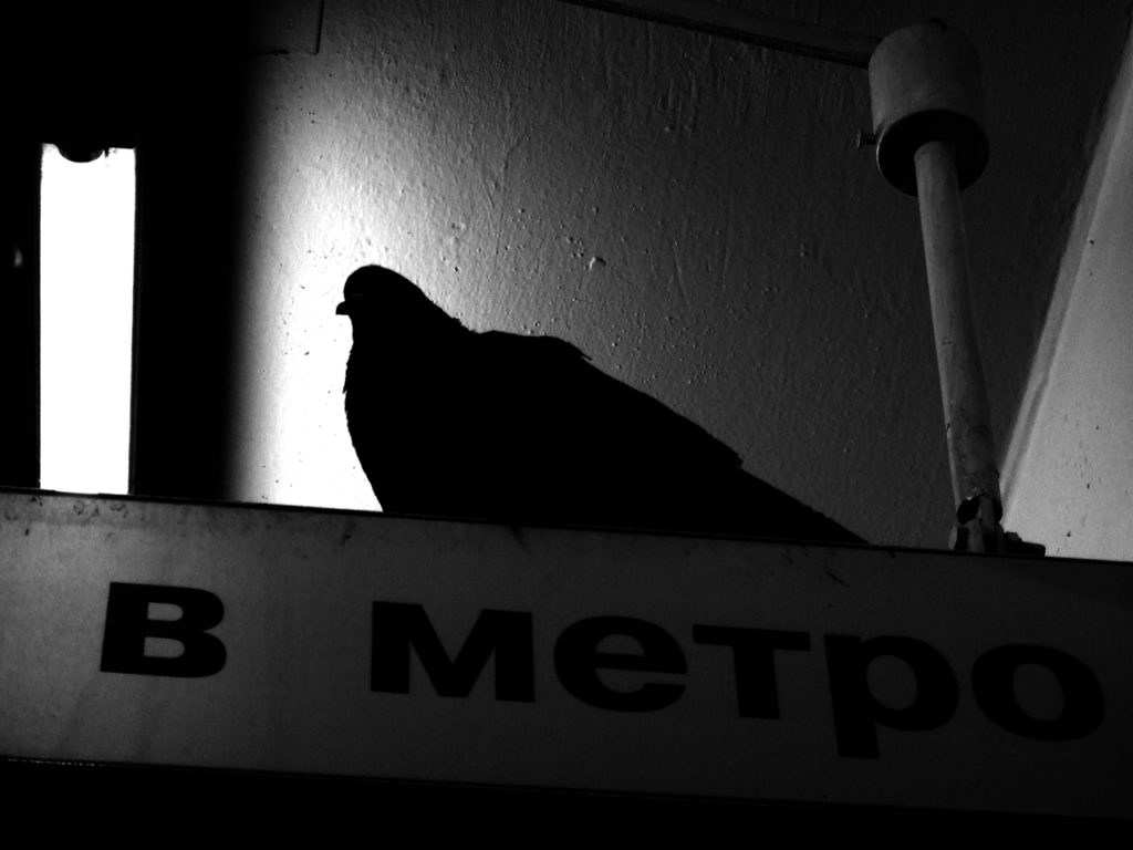 Интернет в метро – как он работает? – иллюстрация к материалу на Naked Science