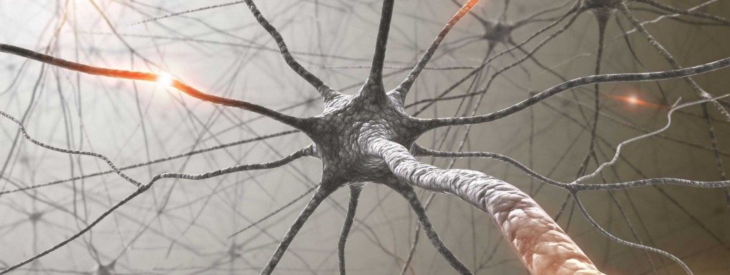 Ахиллесова пята мозга – иллюстрация к материалу на Naked Science