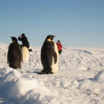 Китайский беспилотник совершил первый облет Южного полюса
