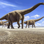 В Китае обнаружили останки динозавра возрастом 126 млн лет