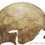 Найдены свидетельства доисторической массовой резни в Европе
