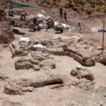 Обнаружено кладбище динозавров