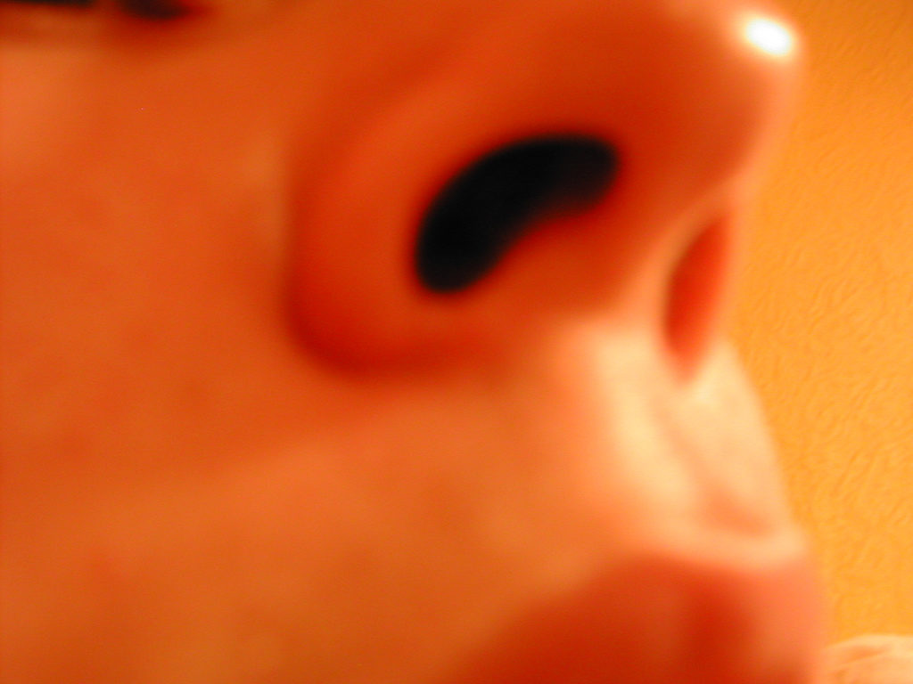 73325361_4a61b55e1a_b