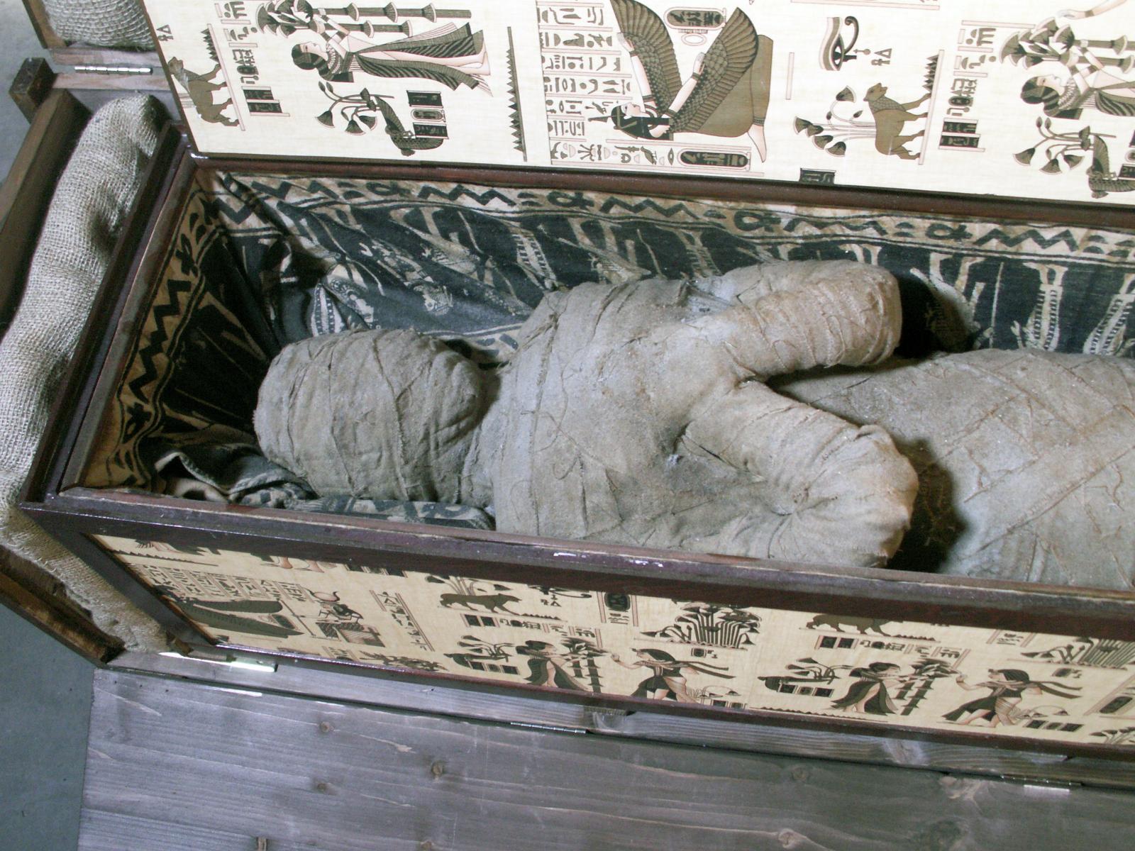 Руководство по изготовлению мумии: технологии мумификации Древнего Египта и наших дней