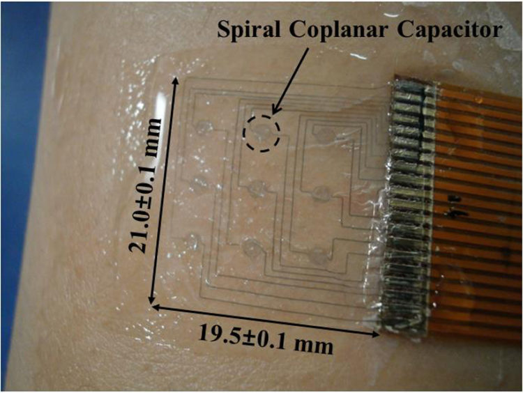 Sensor Goose Skin Will Tell About Your Emotions ScienceGeniue