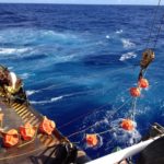 Ученые измерили уровень шума в самой глубокой точке Мирового океана