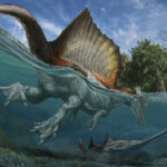 Крупнейший хищный динозавр мог плавать и ел акул