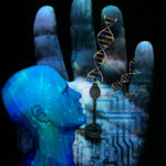 «ДНК-часы» отсчитывают возраст каждой клетки
