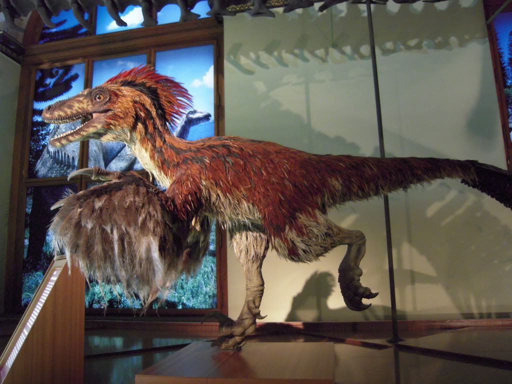 Какие виды динозавров были: названия и фото