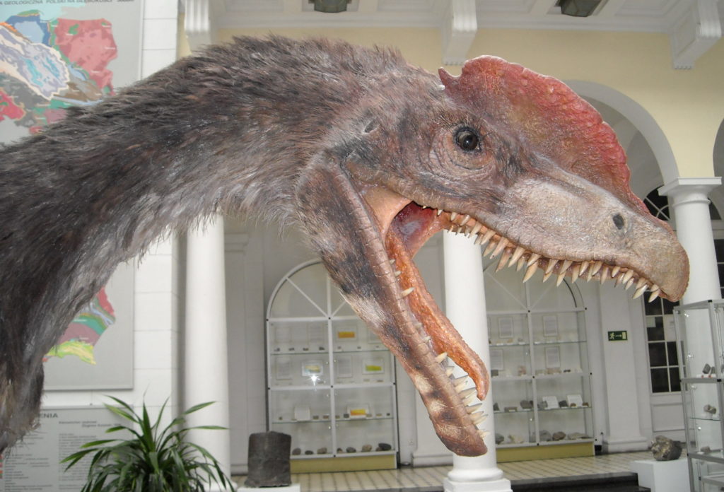 Dilophosaurus_wetherilli_2