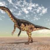 Fotolia_Plateosaurus_24658963_M(2)