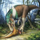 Gorgosaurus-dinosaur-teeth