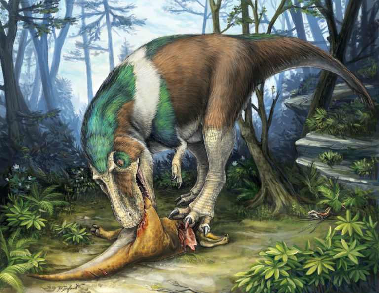 Gorgosaurus-dinosaur-teeth
