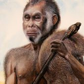 Homo-floresiensis-011